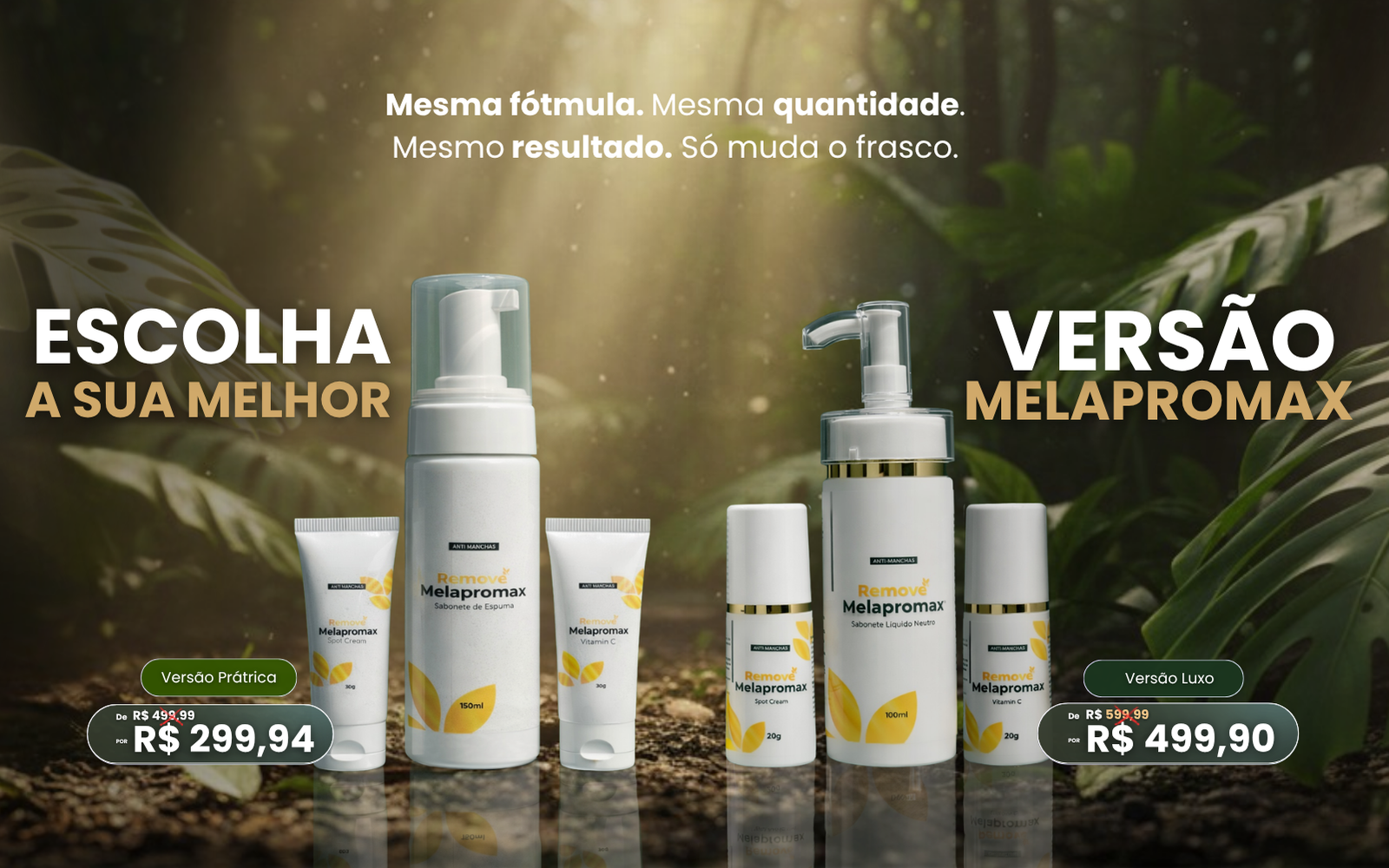 Cópia de BANNER -revendedroes (4)